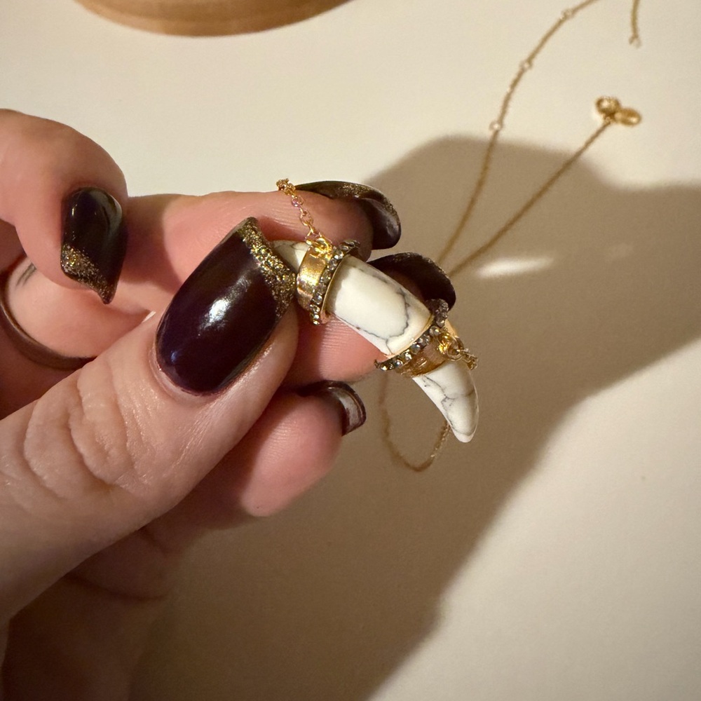 Stella & Dot Horn Necklace